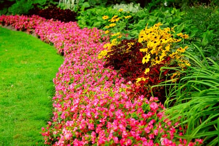 Garden Remodeling For Million-Dollar Curb Appeal Thumbnail