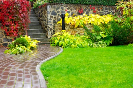 Backyard Design Thumbnail